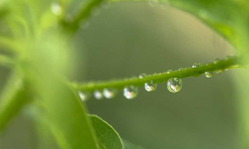 今日雨水，春回大地，天氣變暖，這些養(yǎng)生要點(diǎn)需注意~