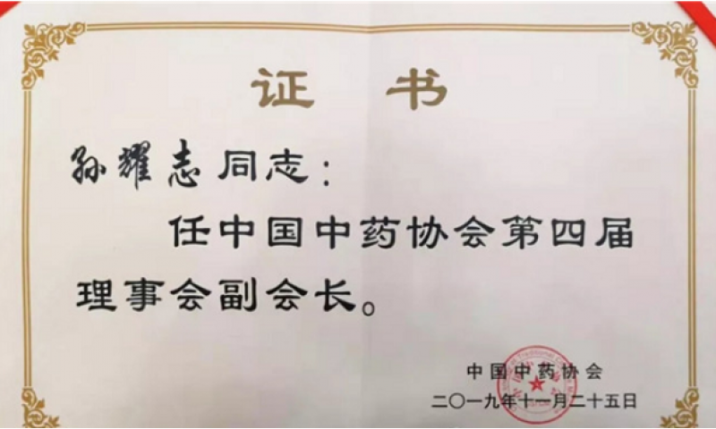 仲景宛西制藥當(dāng)選中國中藥協(xié)會第四屆理事會副會長單位、孫耀志當(dāng)選為副會長