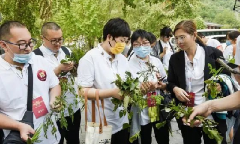 仲景“三分鐘講透經(jīng)典”推廣大使評選，第三屆，來了！