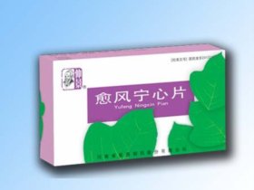 仲景牌系列產(chǎn)品—愈風(fēng)寧心片